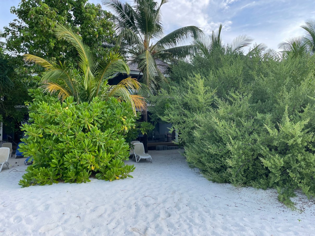 马尔代夫库拉马蒂度假村-泳池