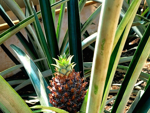 Schloß Muskau-Bad Muskau必去景点