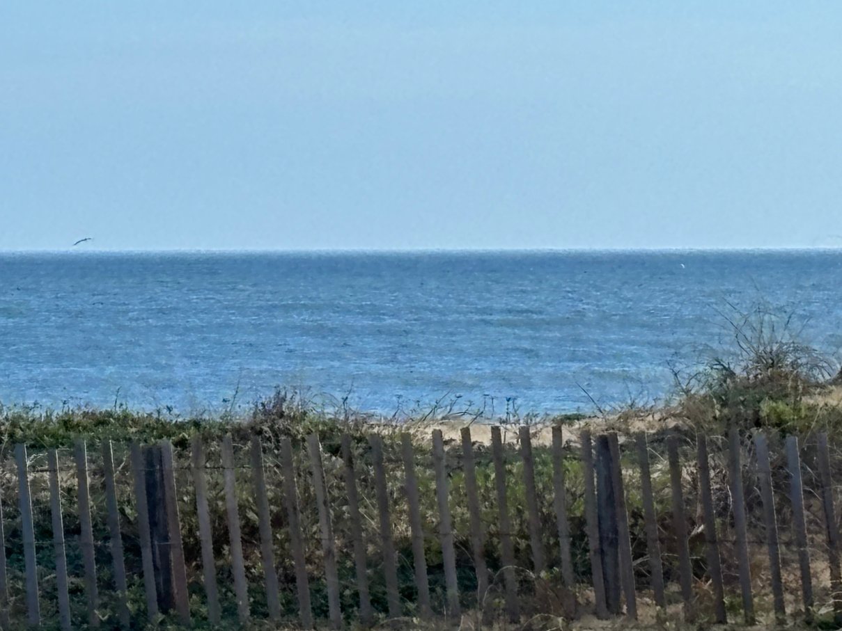 西科莫诺旅馆-泳池