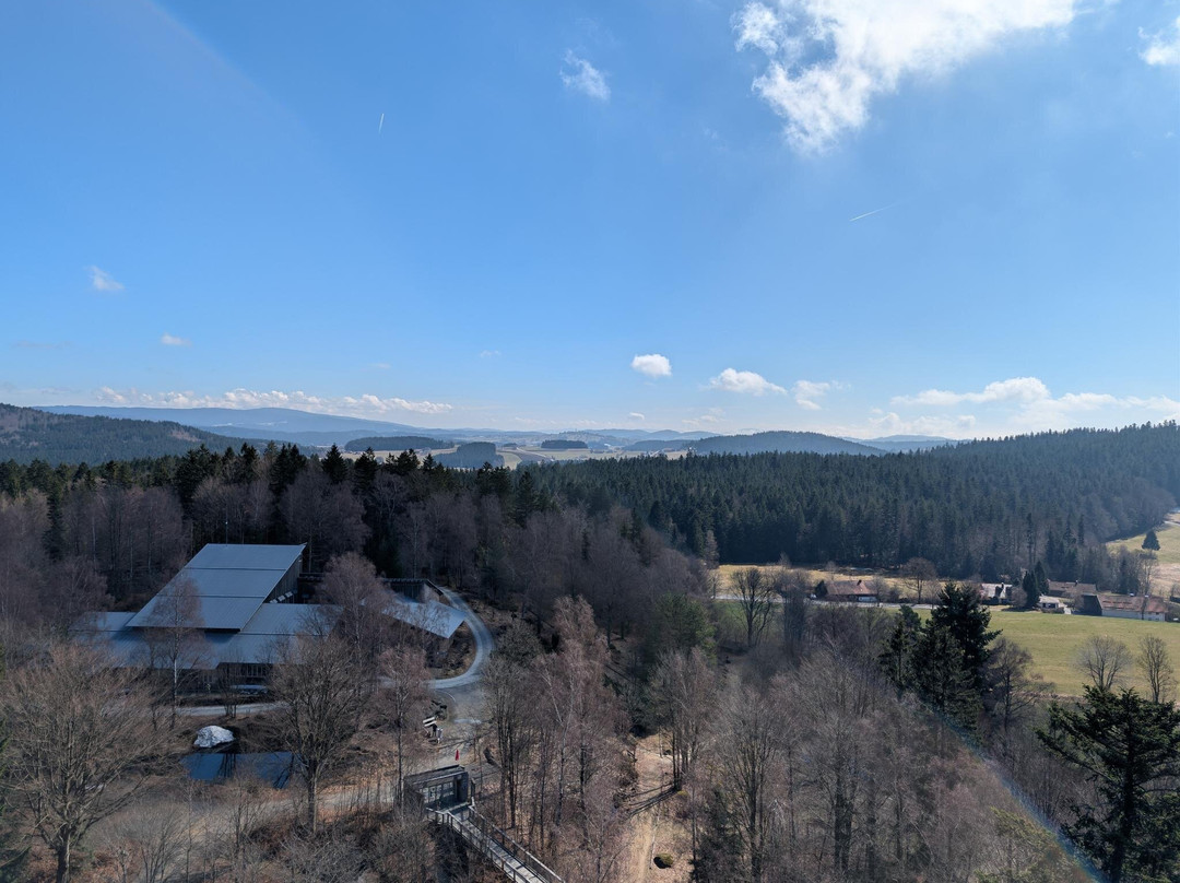 Baumwipfelpfad Bavarian Forest-Neuschonau必去景点