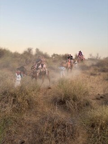 Atul Godha (Tour Guide of India)-乌代布尔必去景点