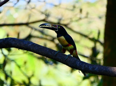 特诺里奥旅舍主图