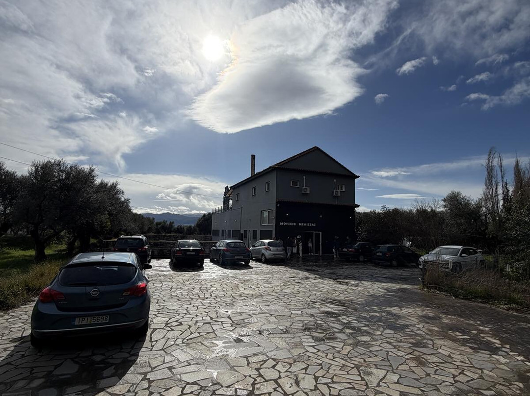 Bee Museum-诺帕克特斯必去景点