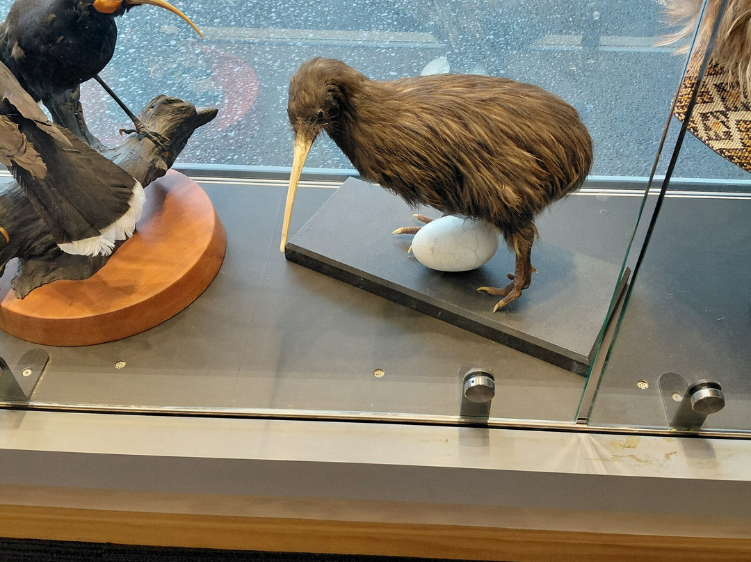 Cheeky Kiwi Travel-皇后镇必去景点