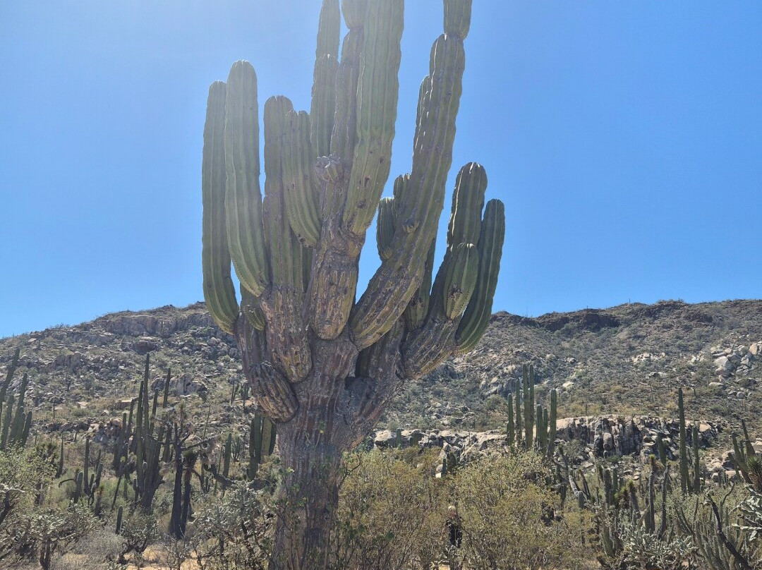 Baja California Travel-拉巴斯必去景点