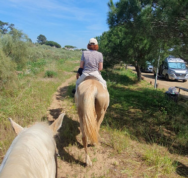 Tavira Equestrian Tourism-塔维拉必去景点
