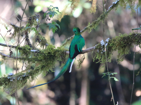 Costa Rica Focus-圣何塞必去景点