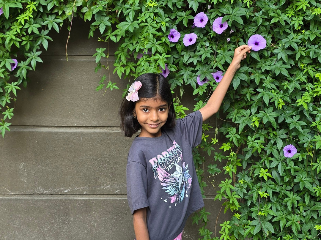 西卡迪莱蒙树酒店Prima钥匙主图