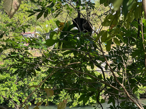 NexusTours-圣何塞必去景点