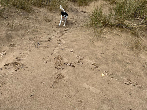 Bridlington South Beach-布里德灵顿必去景点