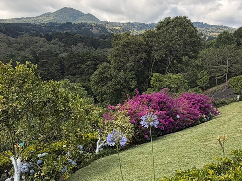 芬卡圣何塞机场芬卡帕拉伊索住宿加早餐旅馆主图