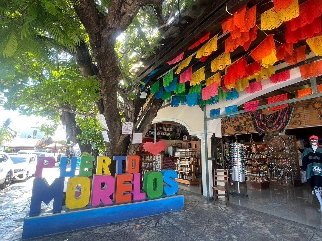National Reef Park of Puerto Morelos-从莫雷洛斯港必去景点