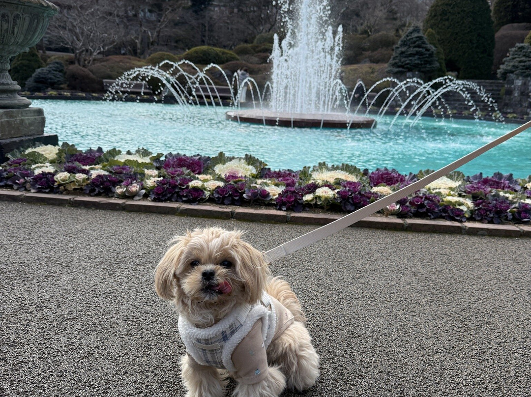 强罗公园-箱根町必去景点