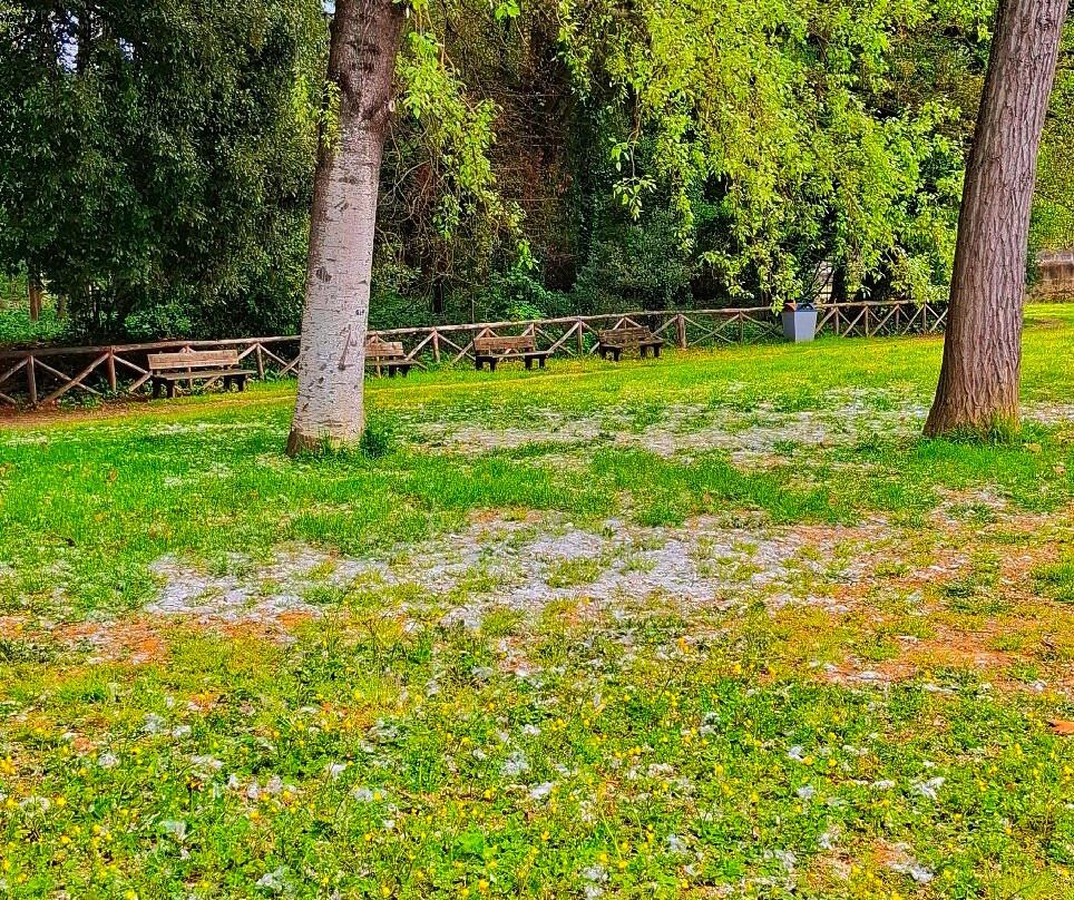 Parco del Neto-卡伦扎诺必去景点