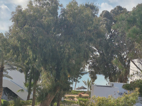 Hari俱乐部海滩度假村主图