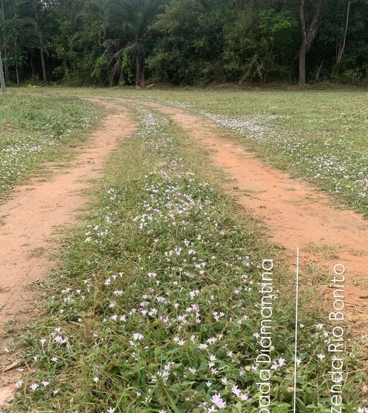Rio Bonito Ecoturismo - Chapada Diamantina-Iraquara必去景点