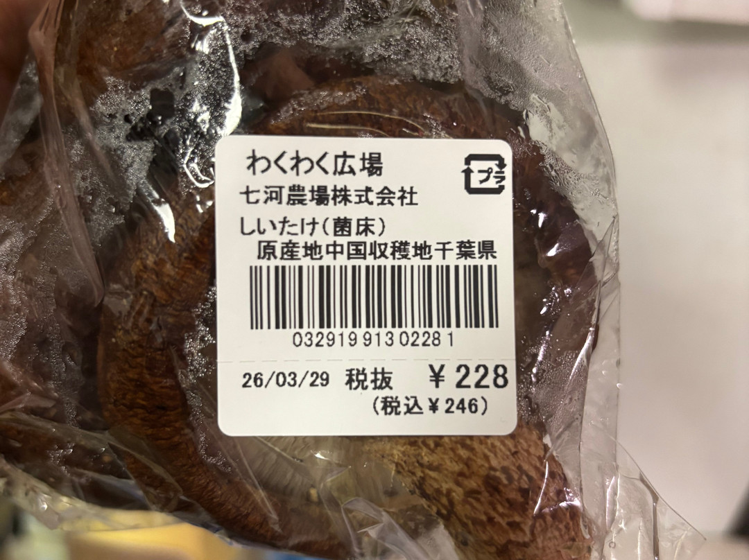 Waku Waku Hiroba-市原市必去景点