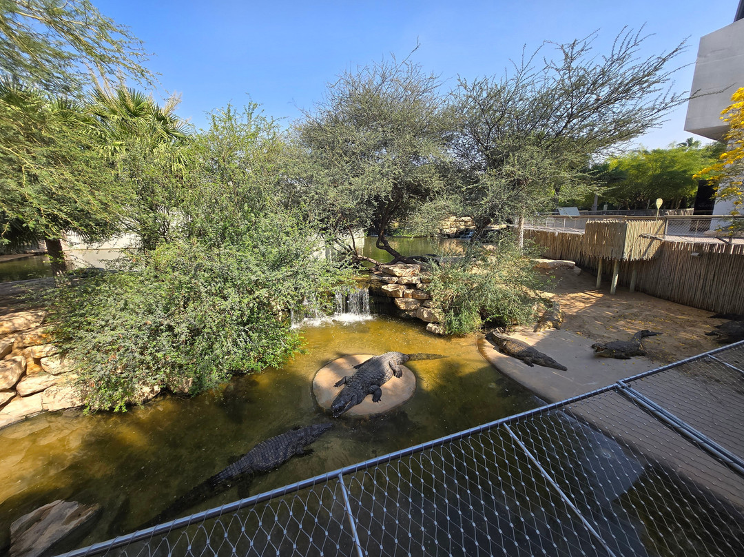 Dubai Crocodile Park-迪拜必去景点