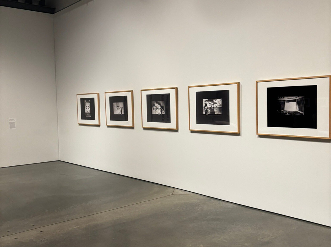 Berkeley Art Museum and Pacific Film Archive-伯克利必去景点