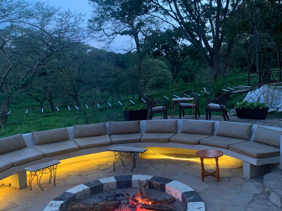 桑比亚河旅馆主图