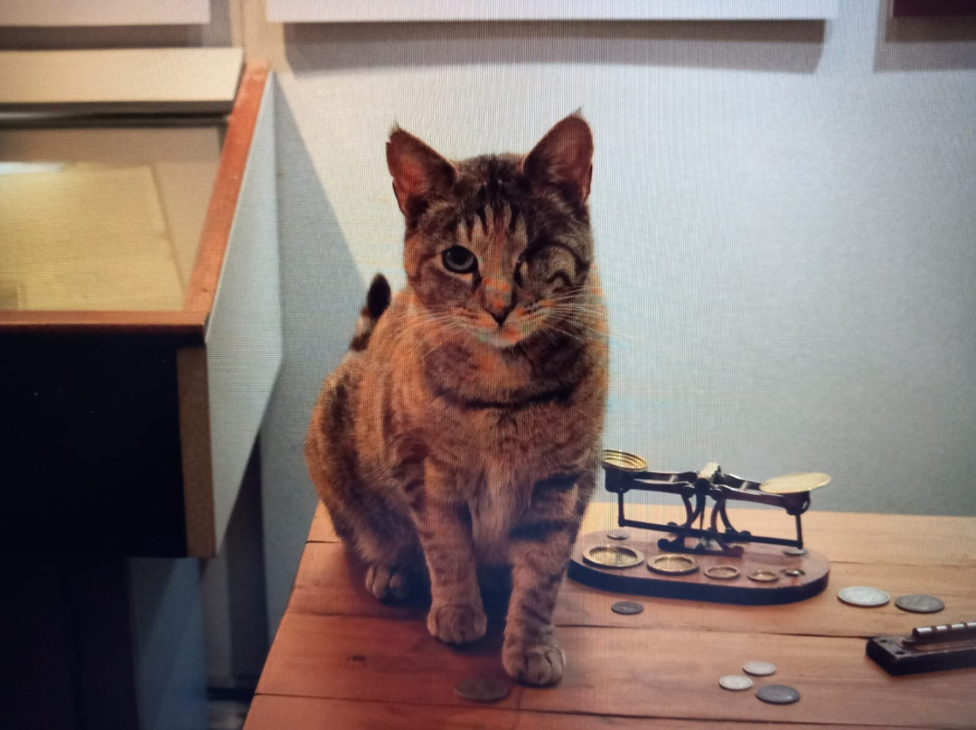 Henry Duncan Savings Banks Museum-邓弗里斯必去景点