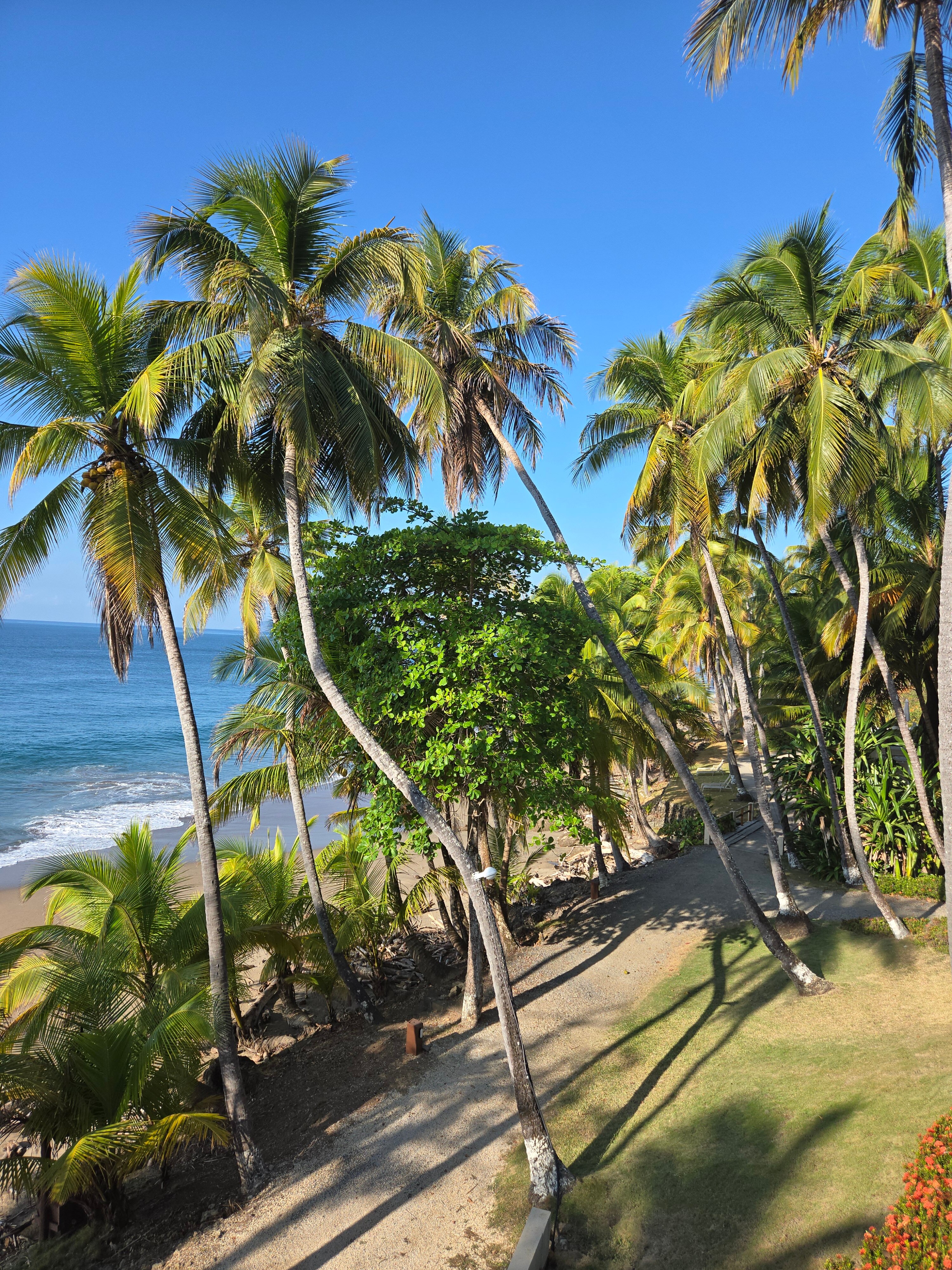 探戈玛海滨精品酒店及别墅-官方