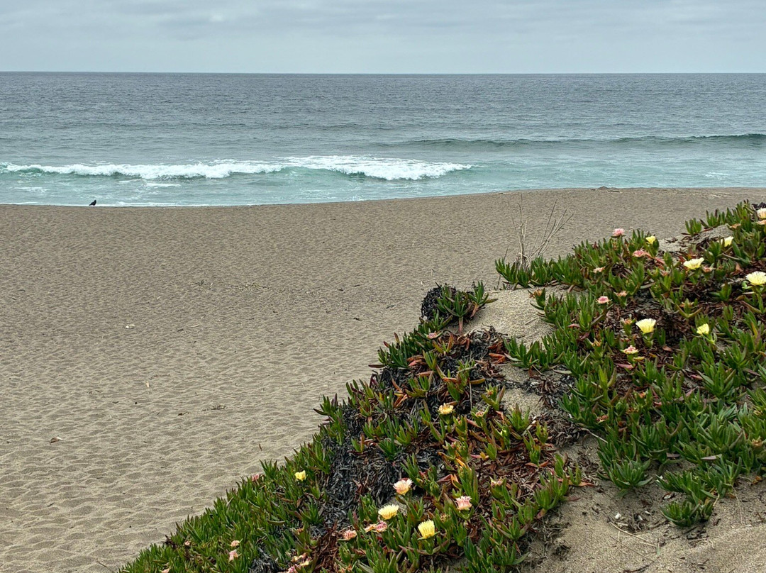 Point Reyes National Seashore-Point Reyes Station必去景点