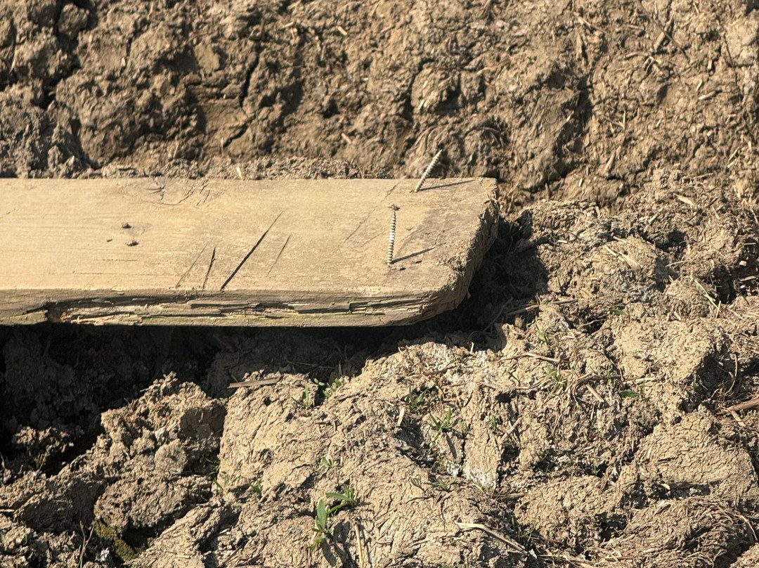 Little Jack's Farm and Garden Centre-Bottesford必去景点