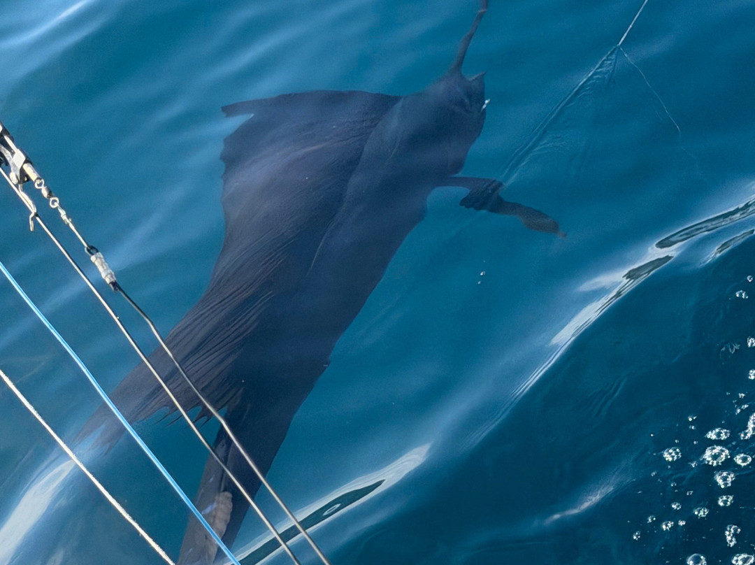 Sea Star CR Sport Fishing and Adventure Tours-Area de Conservacion Guanacaste必去景点