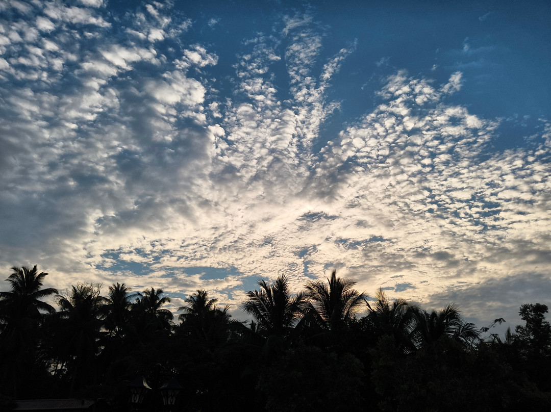 哈维洛克银沙乡村度假村主图