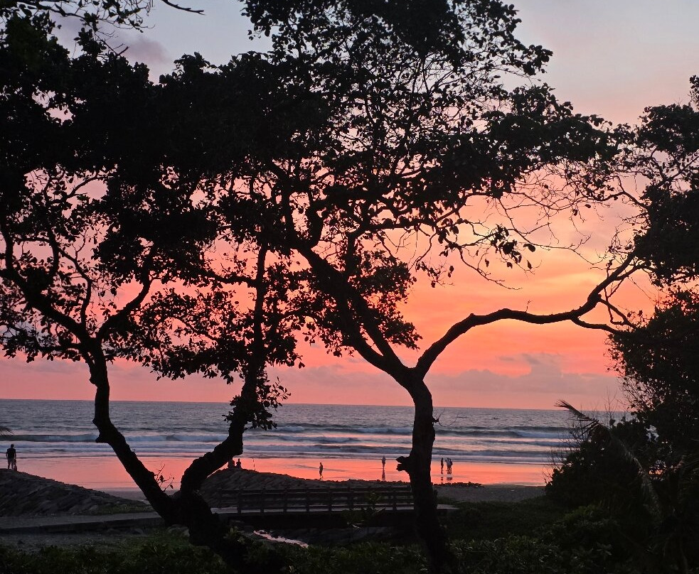 欧贝罗伊海滩度假村主图