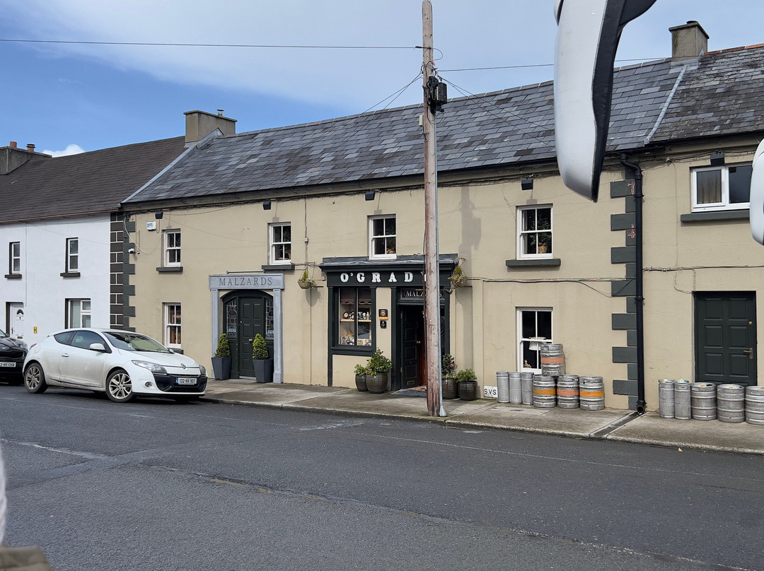 Malzards Pub-Stoneyford必去景点