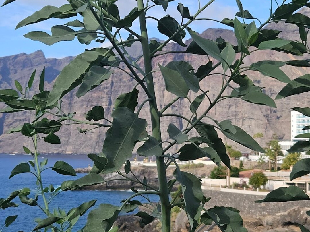 环球塔迈莫热带酒店主图