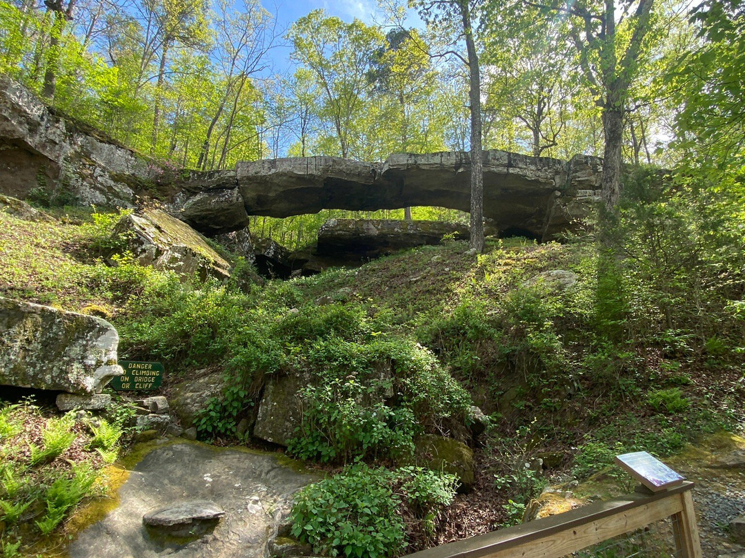 Natural Bridge Of Arkansas-Clinton必去景点