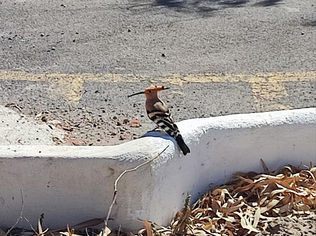 巴利亚唐佩德罗俱乐部酒店主图