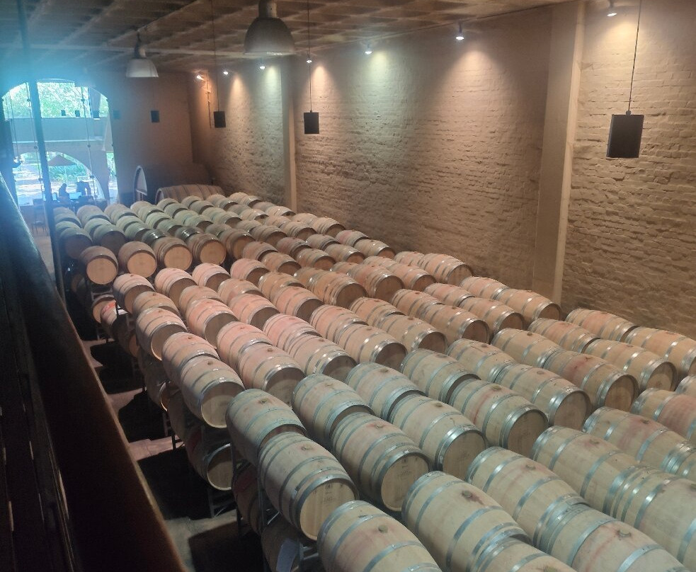 Groot Constantia-康士坦提亚必去景点