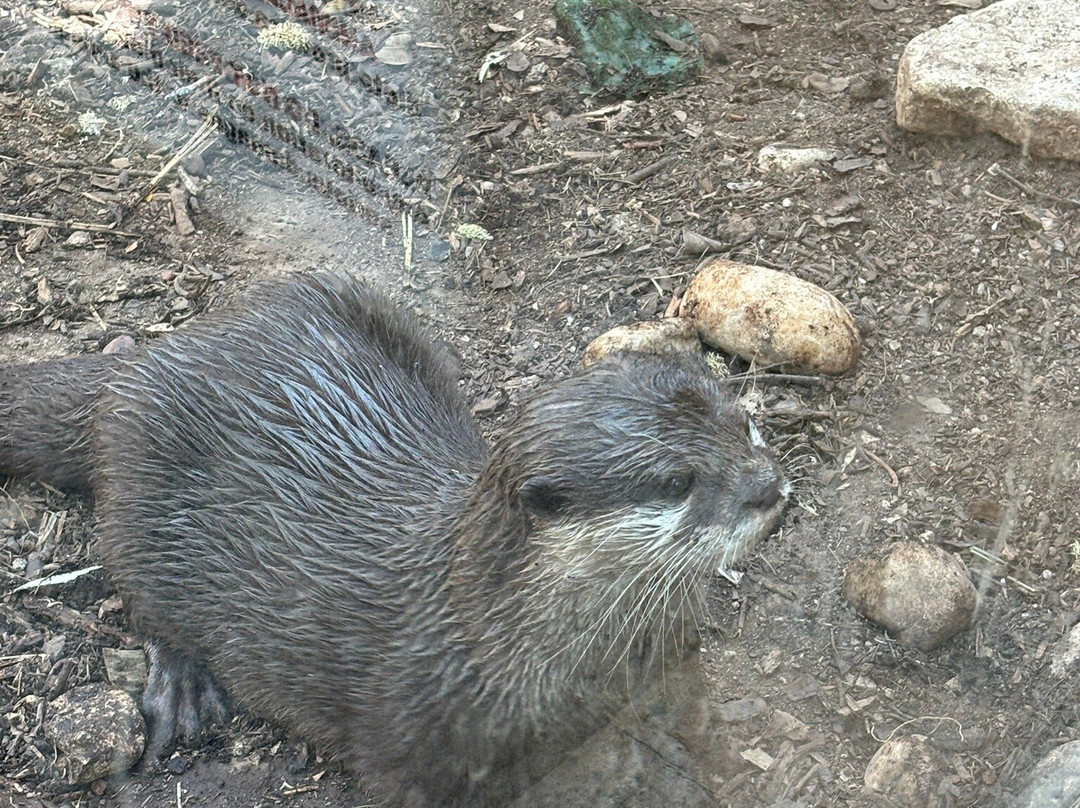 Terra Natura Benidorm-贝尼多姆必去景点