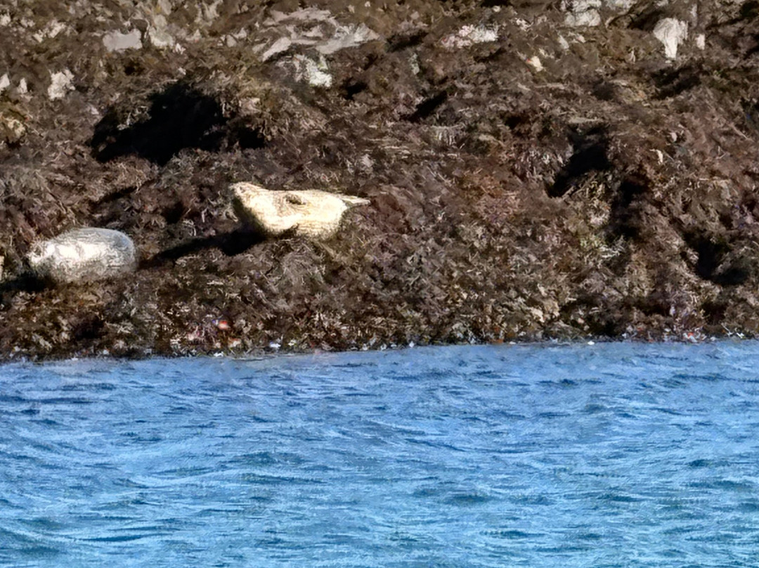 Argyll-Sea Tours-奥本必去景点