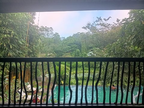 辛哈拉加森林边缘旅馆-旅行者