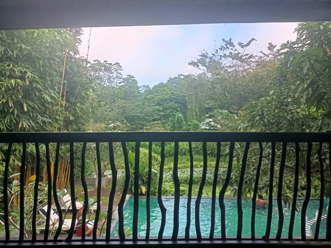 辛哈拉加森林边缘旅馆主图