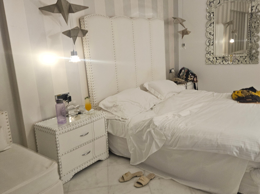 米茨斯阿利拉主图