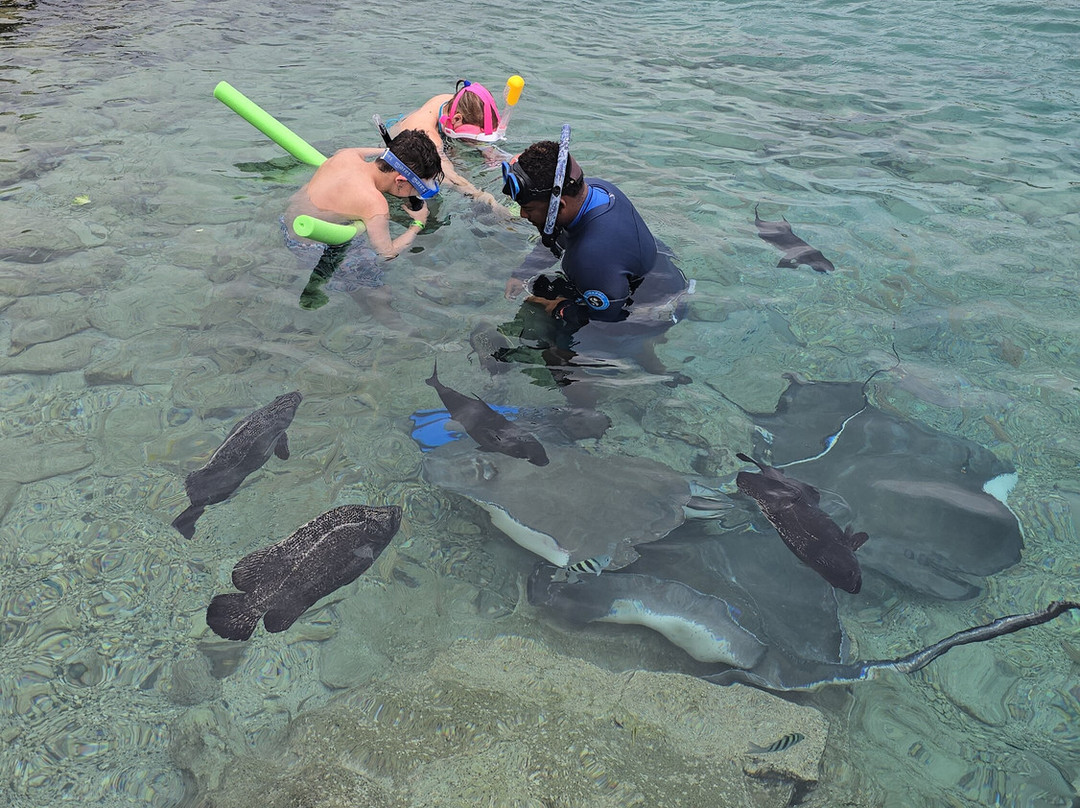 Curaçao Sea Aquarium-威廉斯塔德必去景点