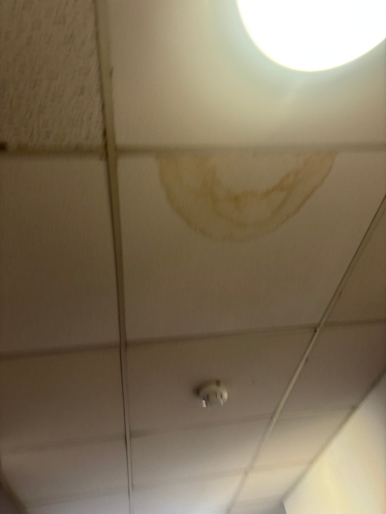 卡林顿豪斯酒店-旅行者