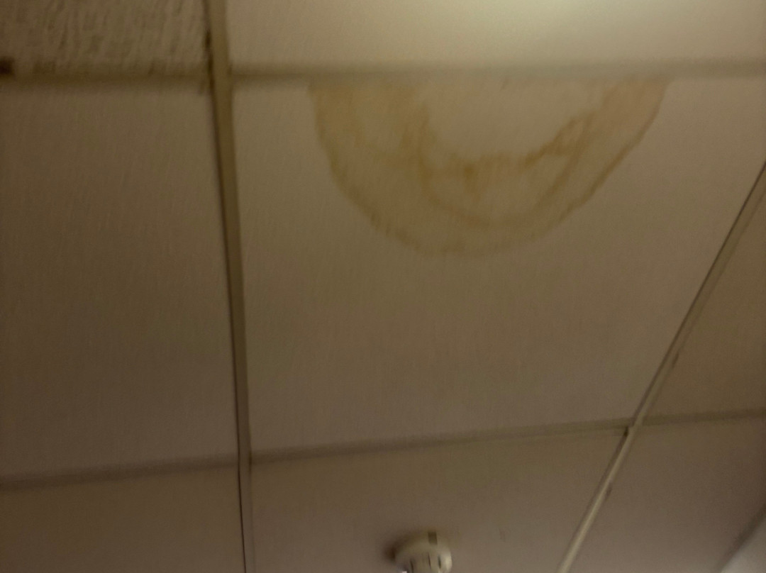 卡林顿豪斯酒店主图