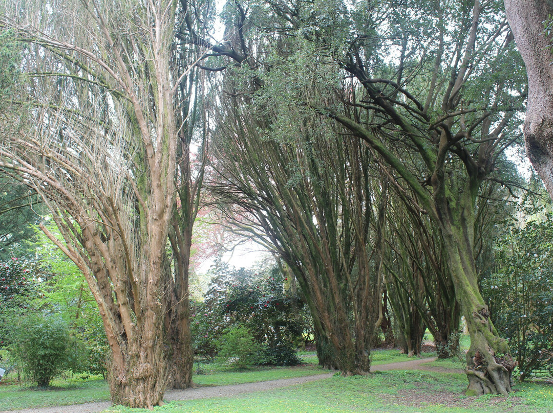 Tregrehan Garden-Par必去景点
