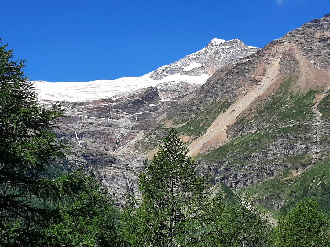 Alp Grüm-Alp Gruem必去景点