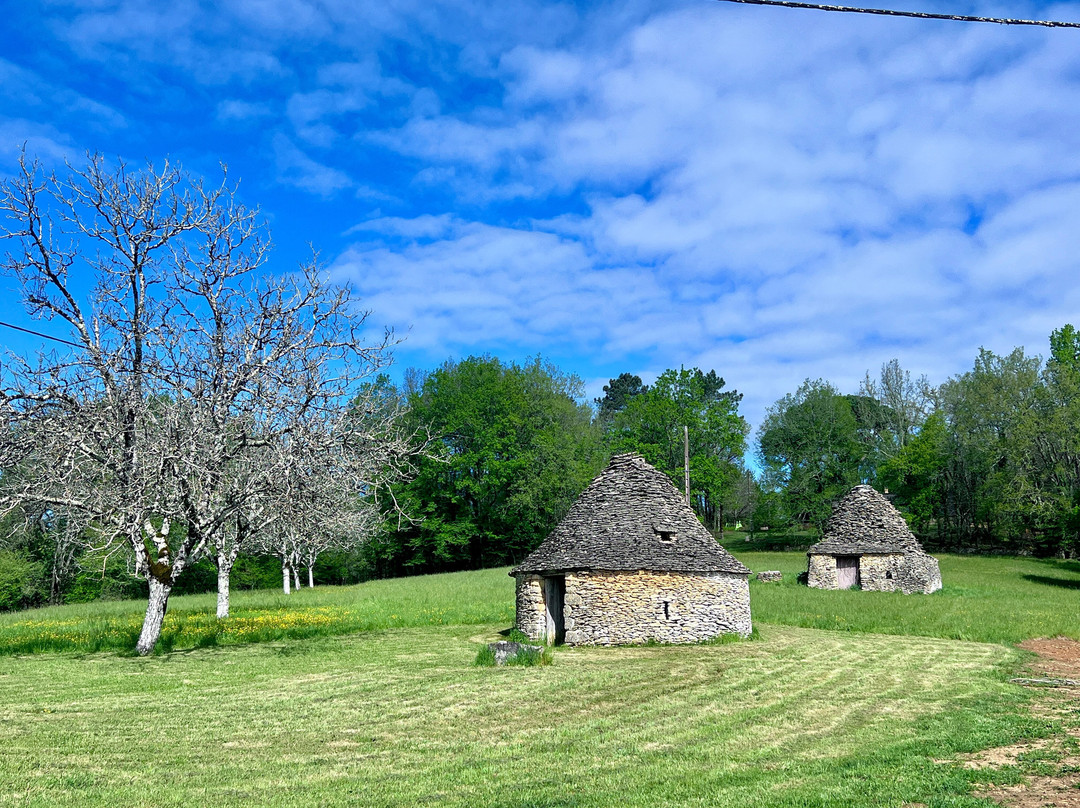 多梅因罗尼酒店主图