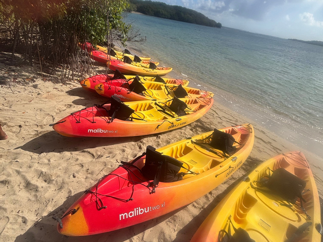 BushTribe Eco Adventures-Christiansted必去景点