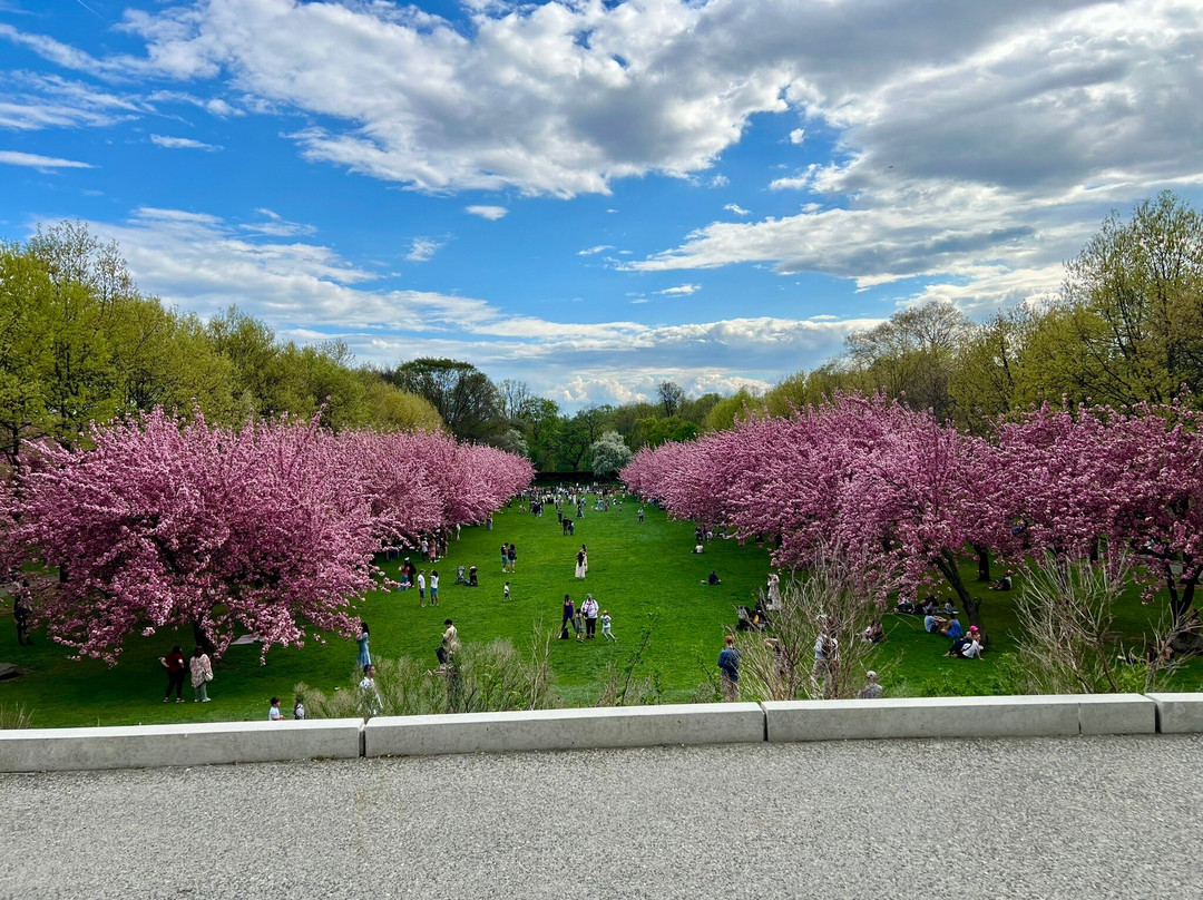 布鲁克林植物园-布鲁克林必去景点