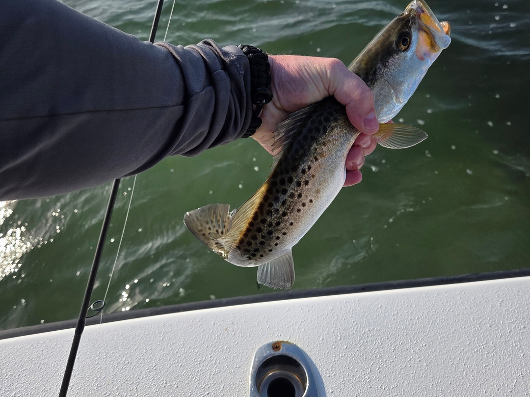 Captain Ryan Taylor Fishing Charters-布雷登顿必去景点